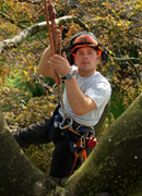 south devon tree surgeon, stump removal, logs, aerial-assess thmb